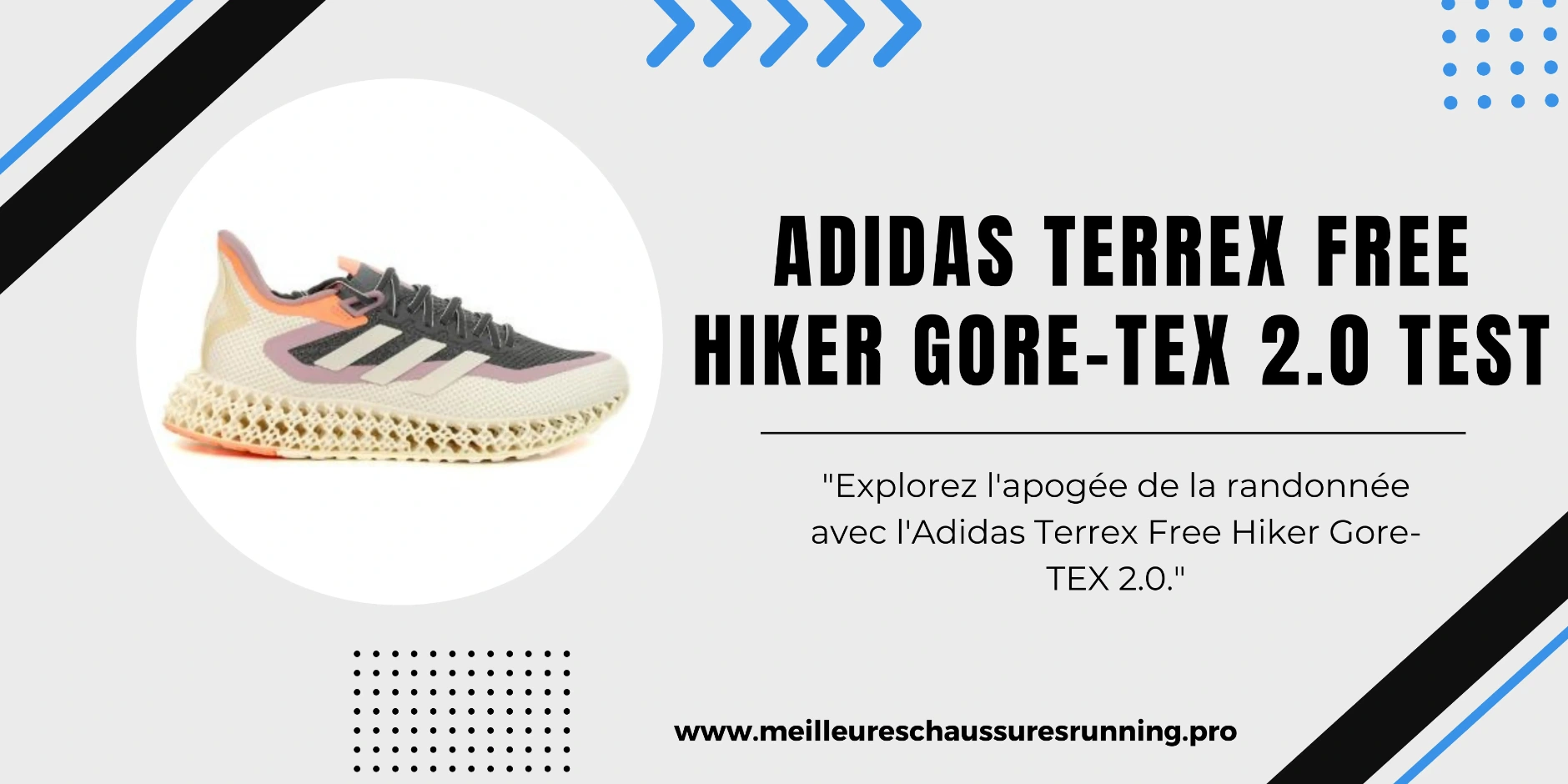 Adidas Terrex Free Hiker 2 test featured image